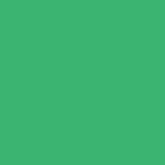 Kleur Groen.65ae542bc6e2b6.02760210